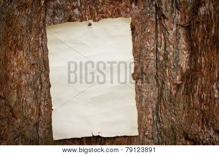 Paper Nailed To A Tree