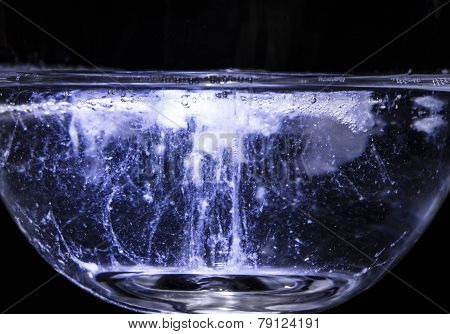 Candida