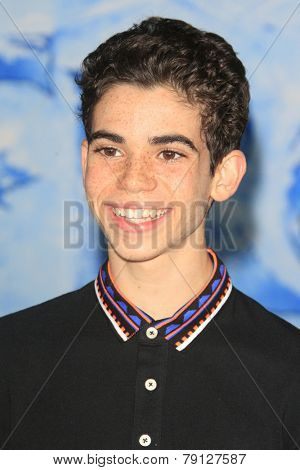 LOS ANGELES - NOV 19: Cameron Boyce at the premiere of Walt Disney Animation Studios' 'Frozen' at the El Capitan Theater on November 19, 2013 in Los Angeles, CA