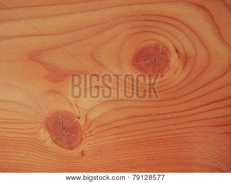 Larch Wood Background
