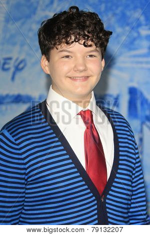 LOS ANGELES - NOV 19: Aedin Mincks at the premiere of Walt Disney Animation Studios' 'Frozen' at the El Capitan Theater on November 19, 2013 in Los Angeles, CA