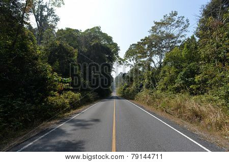 straight way