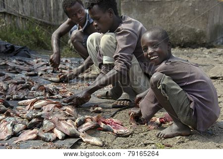 Fish Market