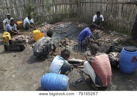 Fish Market