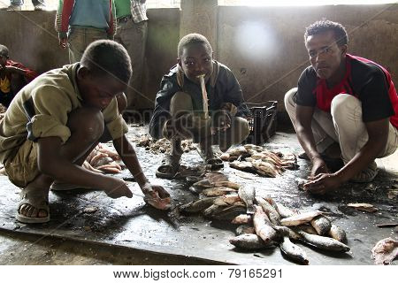 Fish Market