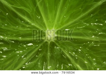 Groene laim (citroen)