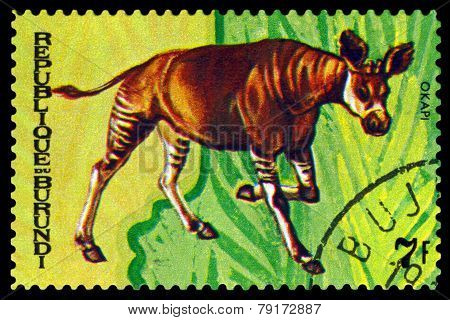 Vintage  Postage Stamp. Animals Burundi, Okapi.1.