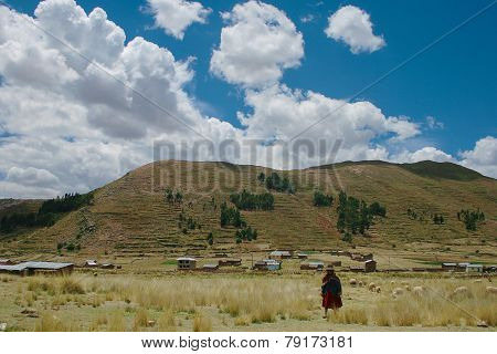 rural scene