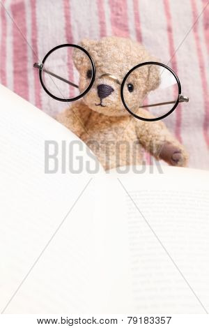 Reading Teddy Bear With Glasses
