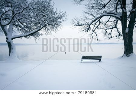 An image of Tutzing at Starnberg Lake covered in snow