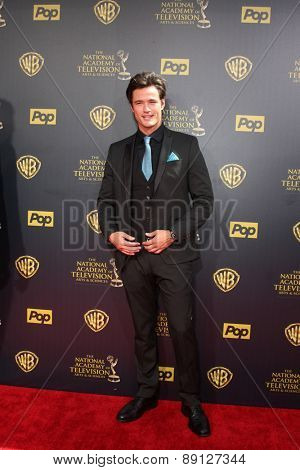 LOS ANGELES - APR 26:  Matthew Atkinson at the 2015 Daytime Emmy Awards at the Warner Brothers Studio Lot on April 26, 2015 in Burbank, CA