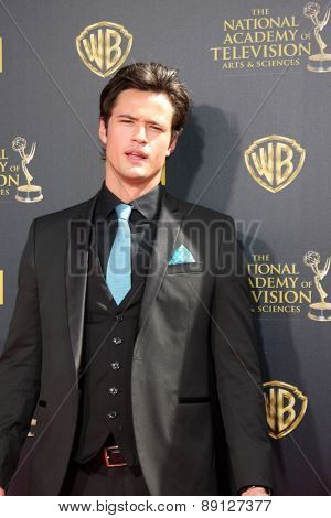 LOS ANGELES - APR 26:  Matthew Atkinson at the 2015 Daytime Emmy Awards at the Warner Brothers Studio Lot on April 26, 2015 in Burbank, CA