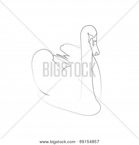 Swan