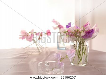 Sweet peas flower