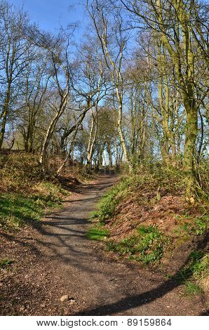 Crossgates Woodland