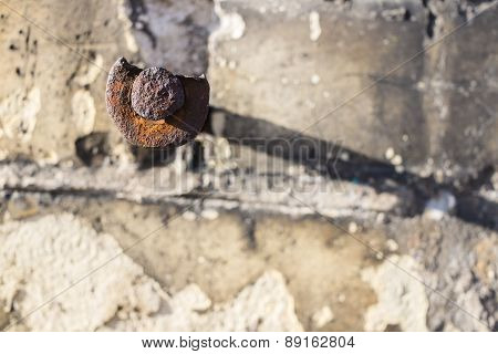 Old Rusty Nail