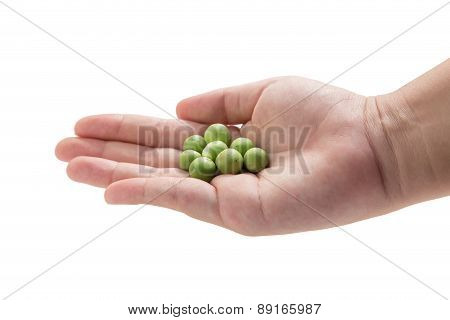 Little Eggplant In Hand. An Important Ingredient For Thai Cuisine.