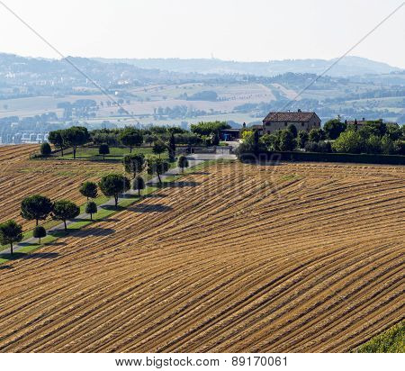 Summer Landscape In Marches (italy)
