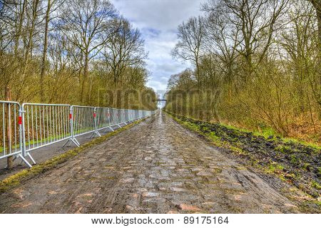 Pave d'Arenberg