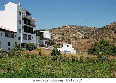 Allotments by apartments, Torrox.