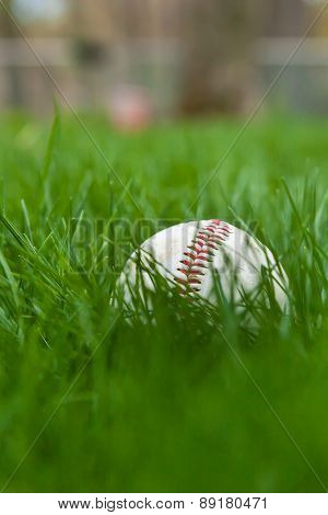 Baseball In Grass