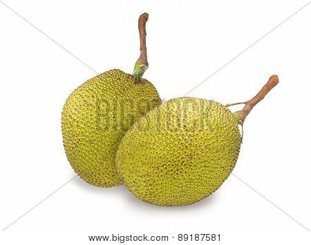 Thai Jack Fruit On White Background