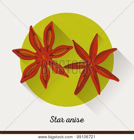 Vector illustration of kitchen ingredient.. Star anise in flat style.