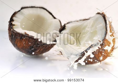 Cracked Coconut Splashing