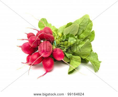 Radish