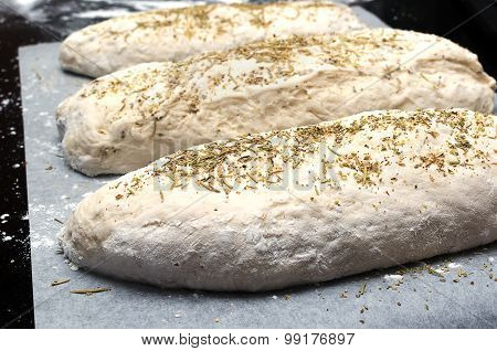Dough With Heabs For Bread