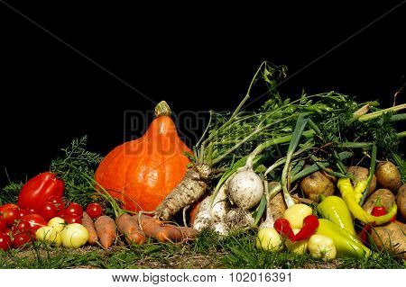 vegetables still life