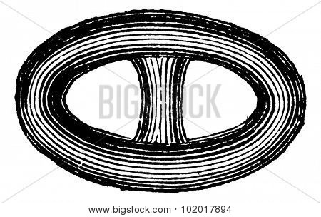 Link in the Brunton chain vintage engraving. Old engraved illustration of Brunton chain link. Trousset encyclopedia.