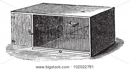 Mouse cage, vintage engraving. Old engraved illustration of Mouse cage. Trousset encyclopedia (1886 - 1891).