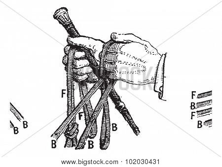 Reins, vintage engraved illustration. Dictionary of words and things - Larive and Fleury - 1895.