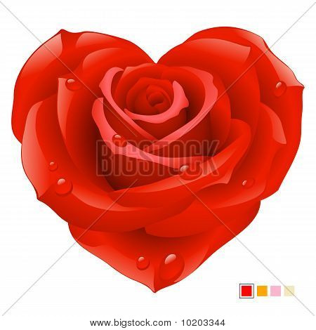 Rosa rossa a forma di cuore