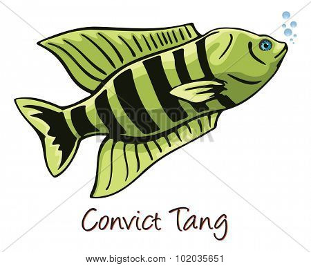Convict Tang, Color Illustration
