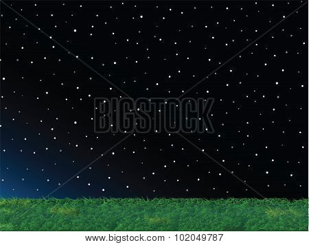 Green Grass Night Sky Landscape