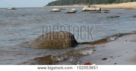 Riga Gulf Coast Near Saulkrasti. Latvia. Coast At Low Tide