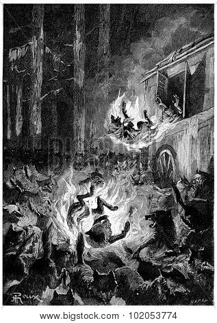 The wolves flee in terror, vintage engraved illustration. Jules Verne Cesar Cascabel, 1890.