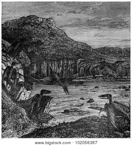 Pterodactyls, vintage engraved illustration. Earth before man  1886.