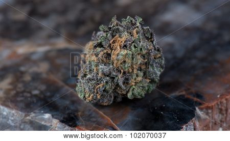 Grandaddy Purple Medicinal Medical Marijuana