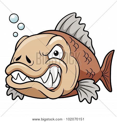 Angry Fish
