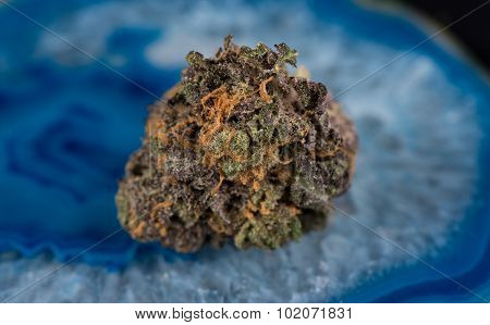 Grandaddy Purple Medicinal Marijuana
