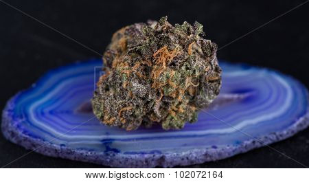 Grandaddy Purple Medicinal Marijuana