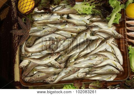 Fresh fishes in market