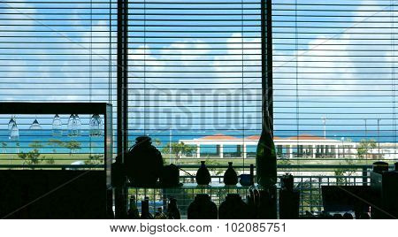 Venetian blind lifted and blue sky