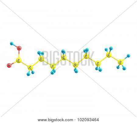 Decanoic - capric acid - is a saturated fatty acid. 3d illustration