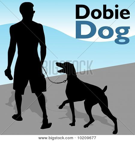 Homem andando cão Dobermann