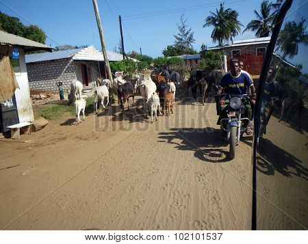 Africa Streets