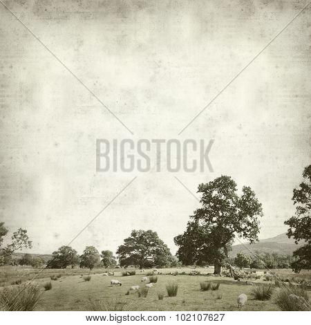 Textured Old Paper Background